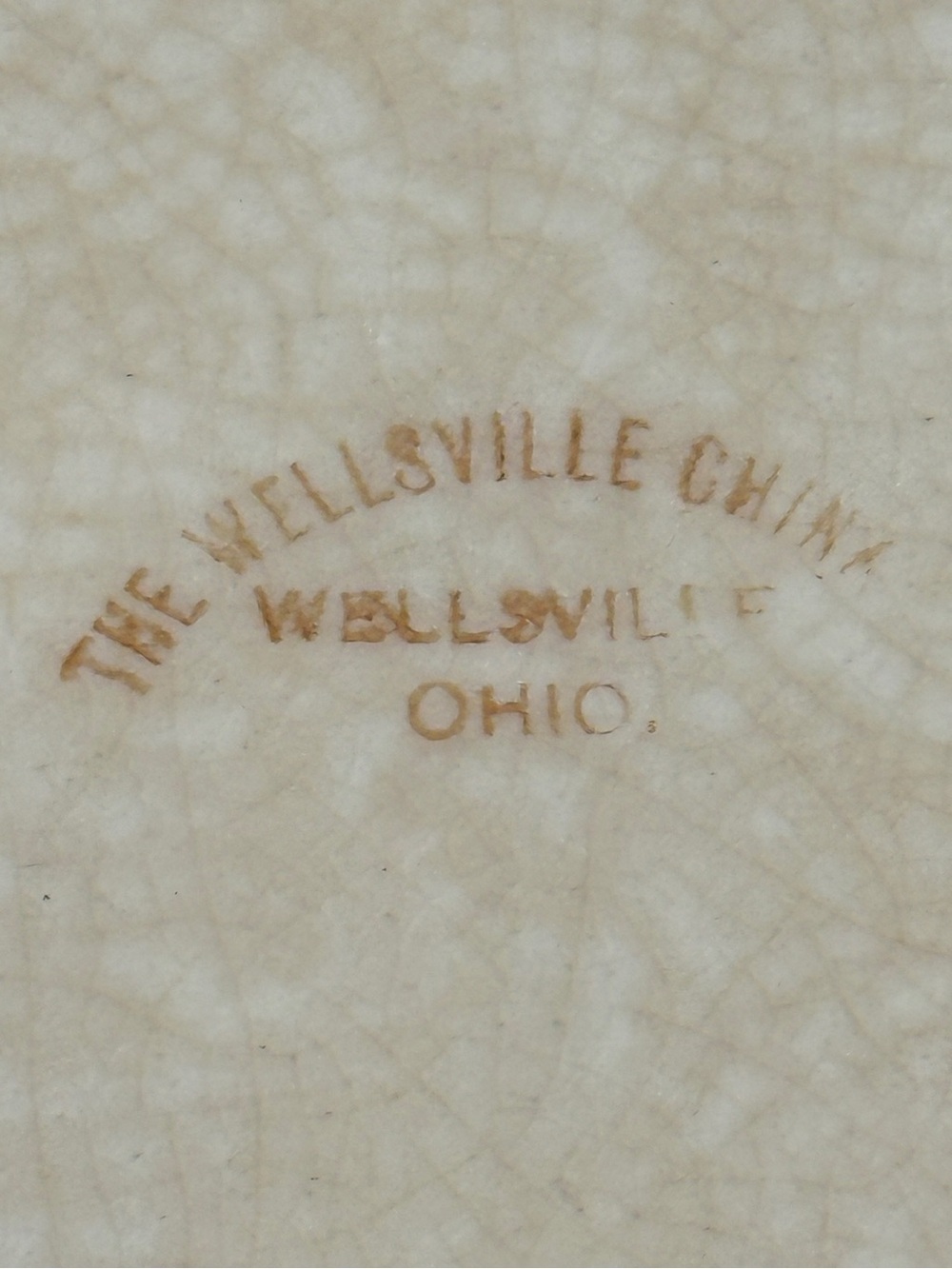 Antique The Wellsville China Company Floral Ceramic Serving Platter in Cream - Picture 5 of 7